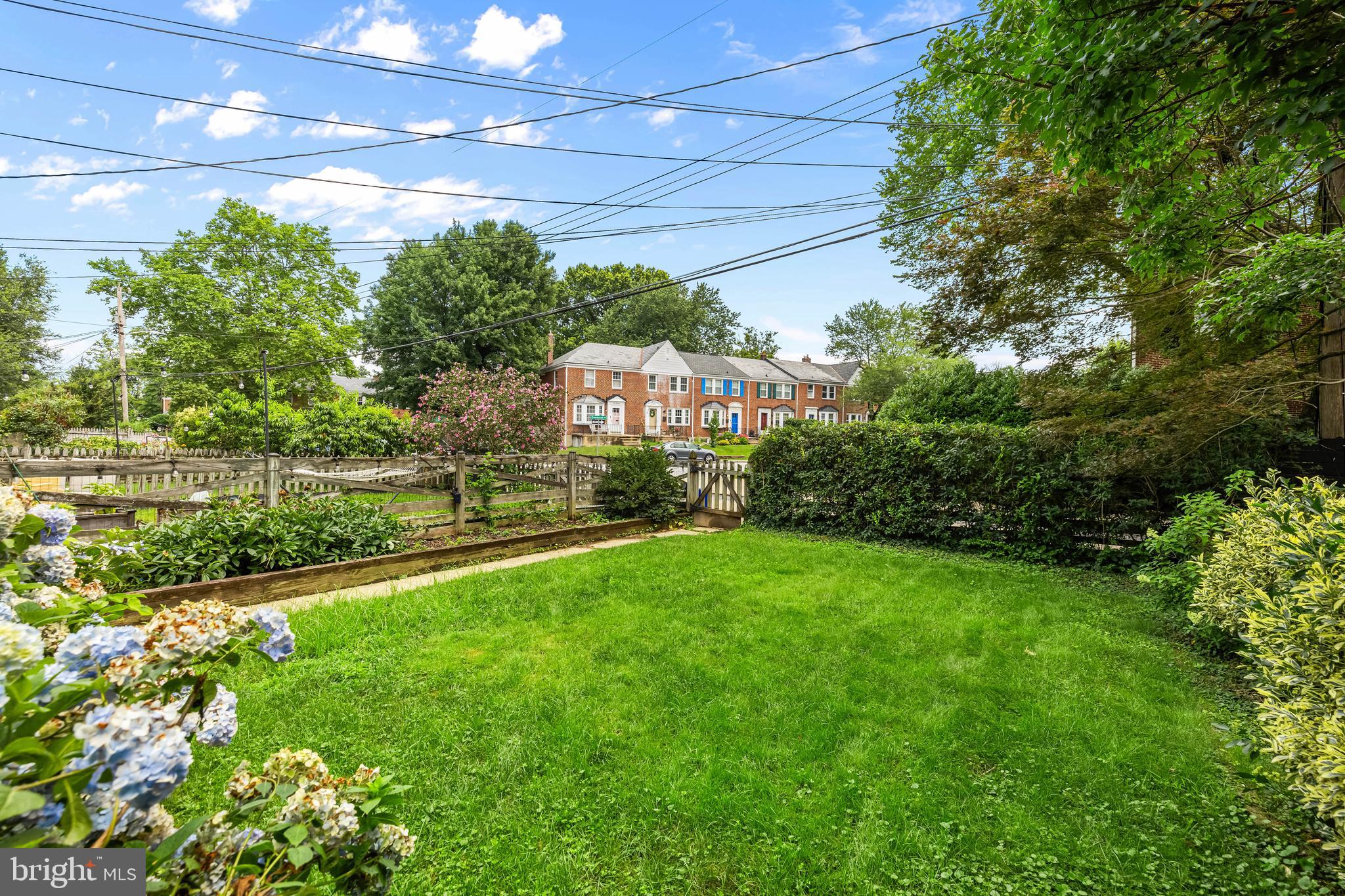 6449 Blenheim Road Baltimore, MD 21212 - Photo 36 of 36 a view of a big yard with potted plants and large tree
