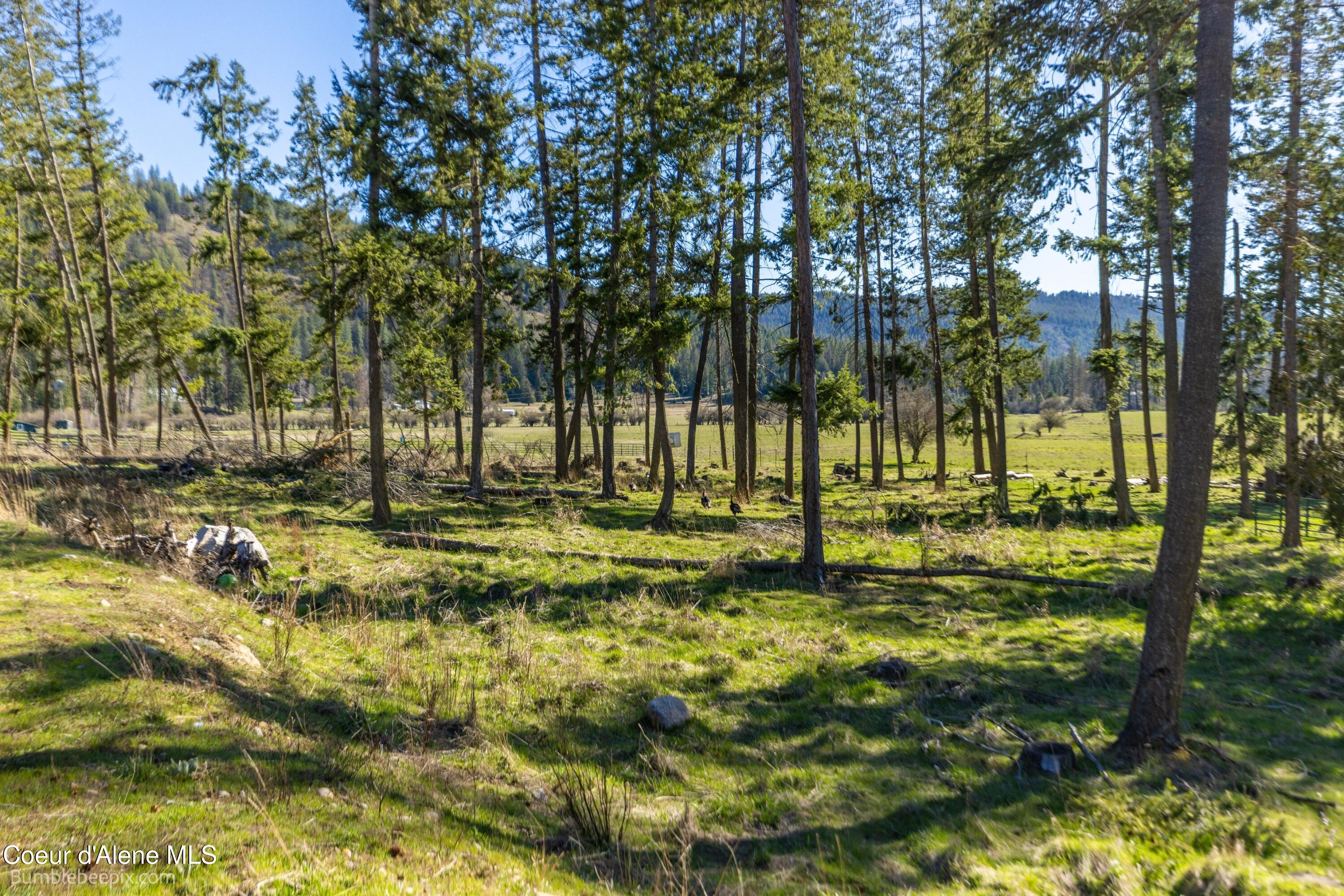 2760 South Sagle Road Sagle, ID 83860 - Photo 43 of 61 008_bb193571-8_765