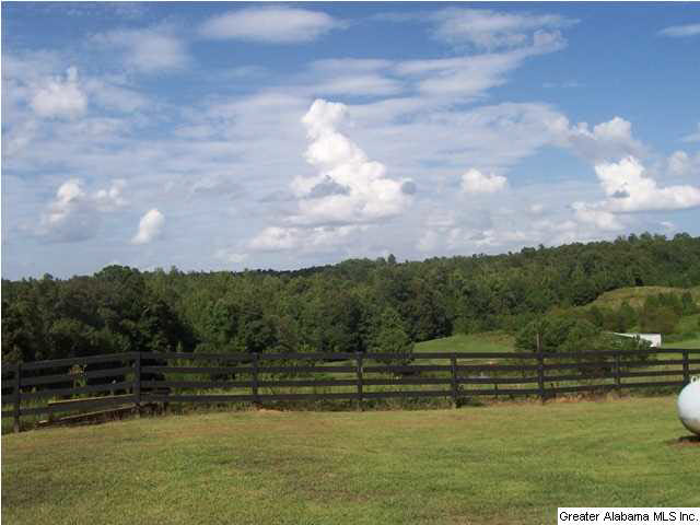 1776 County Road 96 Heflin, AL 36264 - Photo 22 of 31