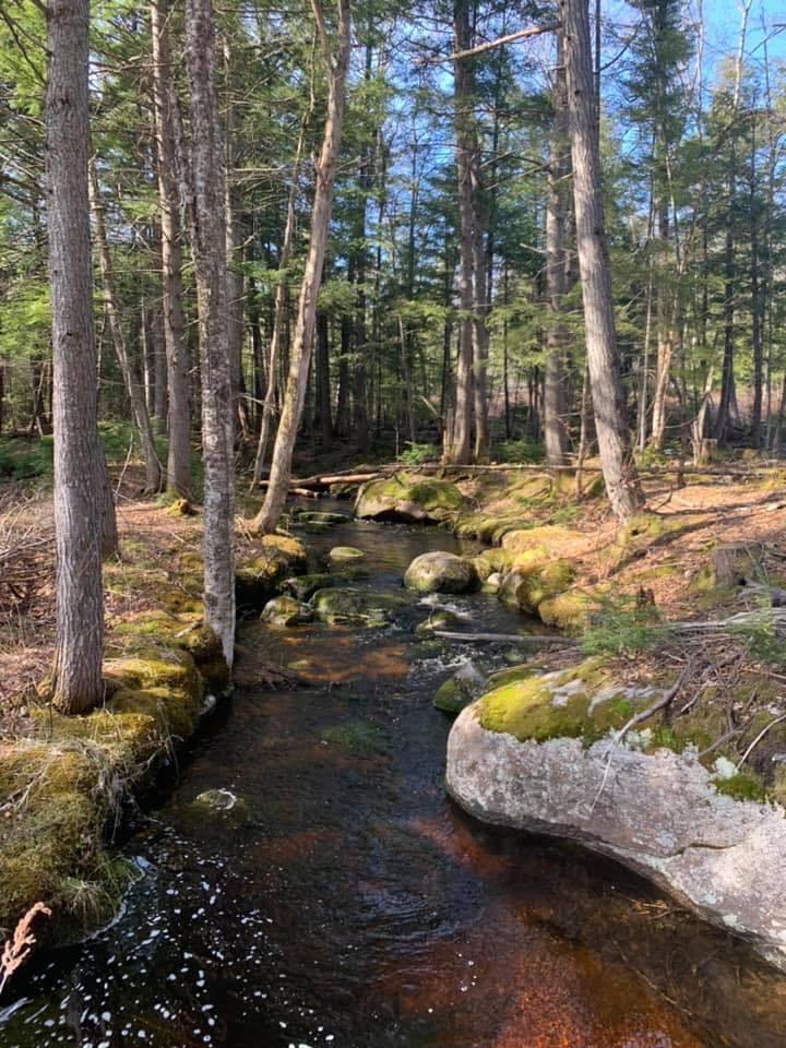 167 Bolsters Mills Road Harrison, ME 04040 - Photo 24 of 24 IMG_6368