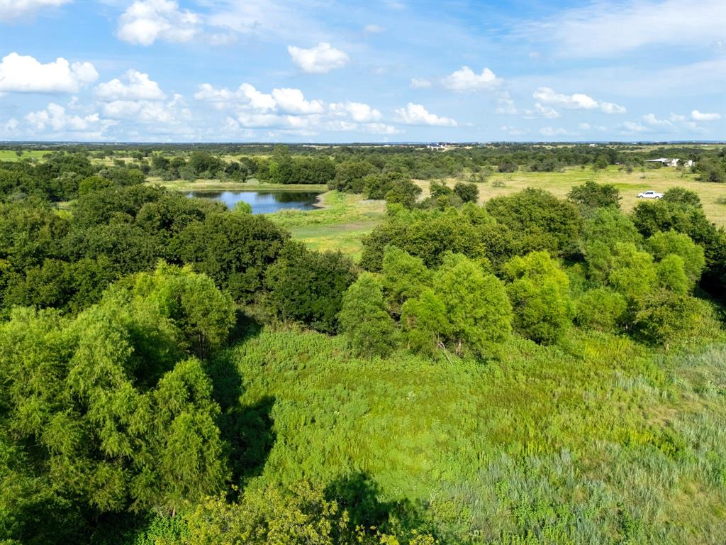 -35 Ac Rattler Hill Road McGregor, TX 76657 - Photo 9 of 37 Gallery Image 9