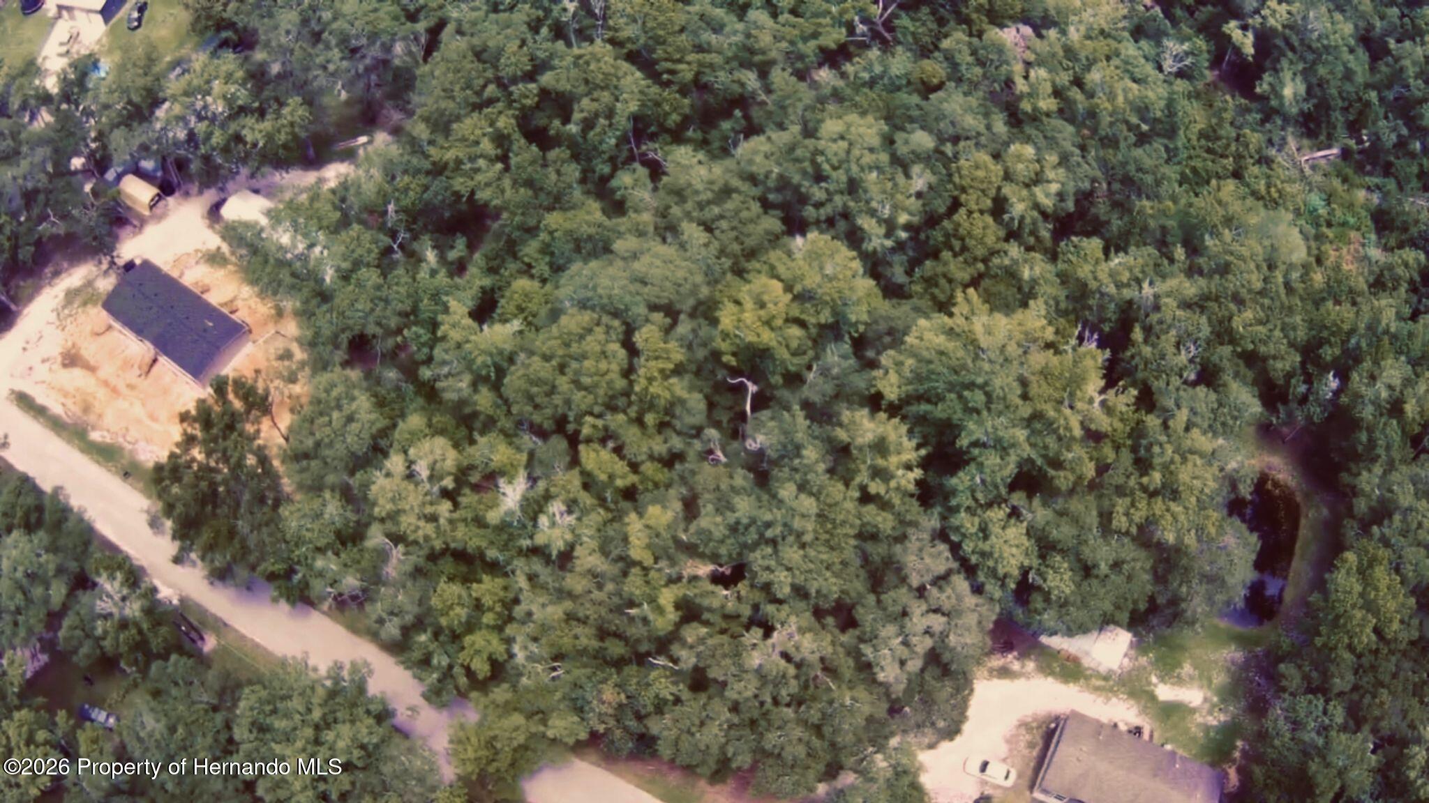 0 Campground Road Brooksville, FL 34601 - Photo 3 of 6 Gallery Image 3