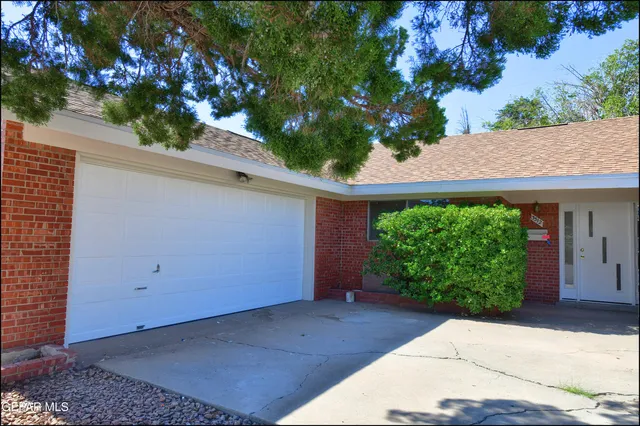 a view of a garden with plants