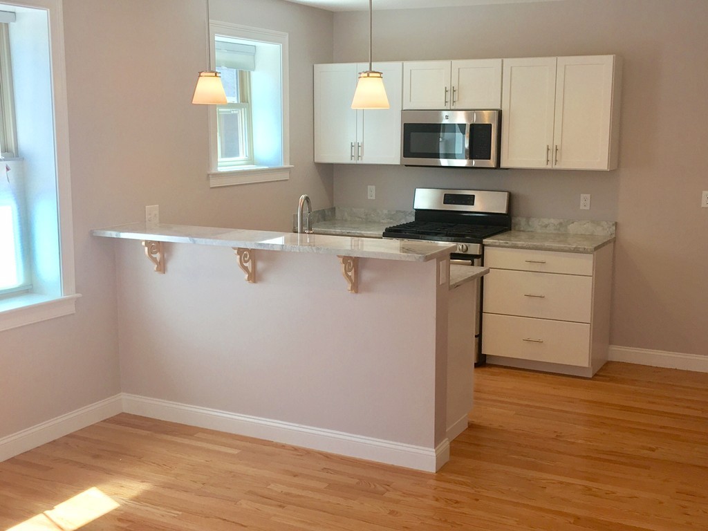 236 E Street, Unit 3 Boston, MA 02127 - Photo 3 of 12