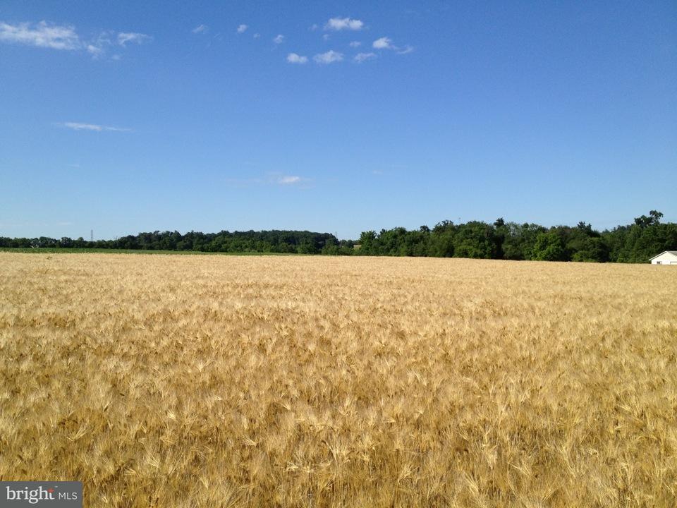 9110 Woleber Road Myerstown, PA 17067 - Photo 3 of 6 Gallery Image 3