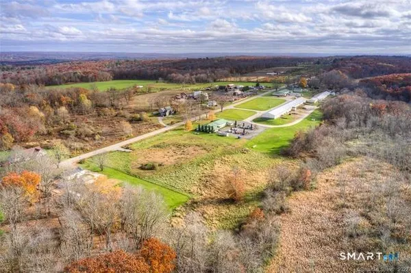 a view of a yard with a swimming pool