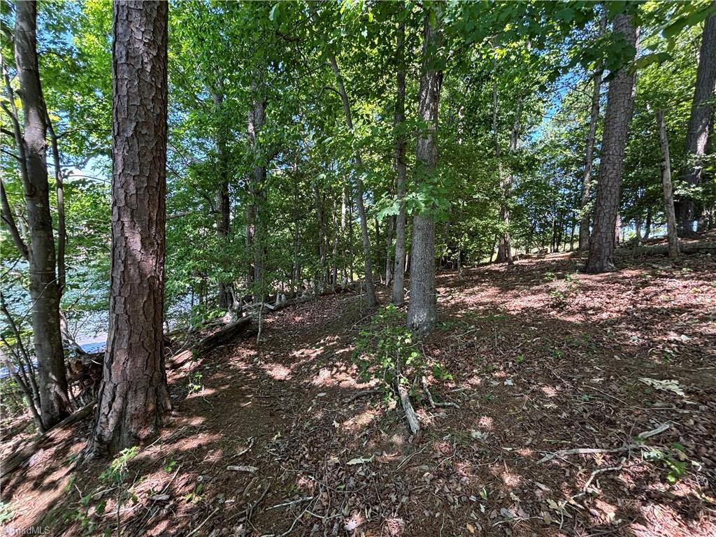 145 Beacon Ridge Drive Stony Point, NC 28678 - Photo 6 of 14 Gallery Image 6