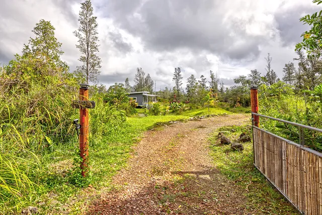 a view of a pathway of a garden