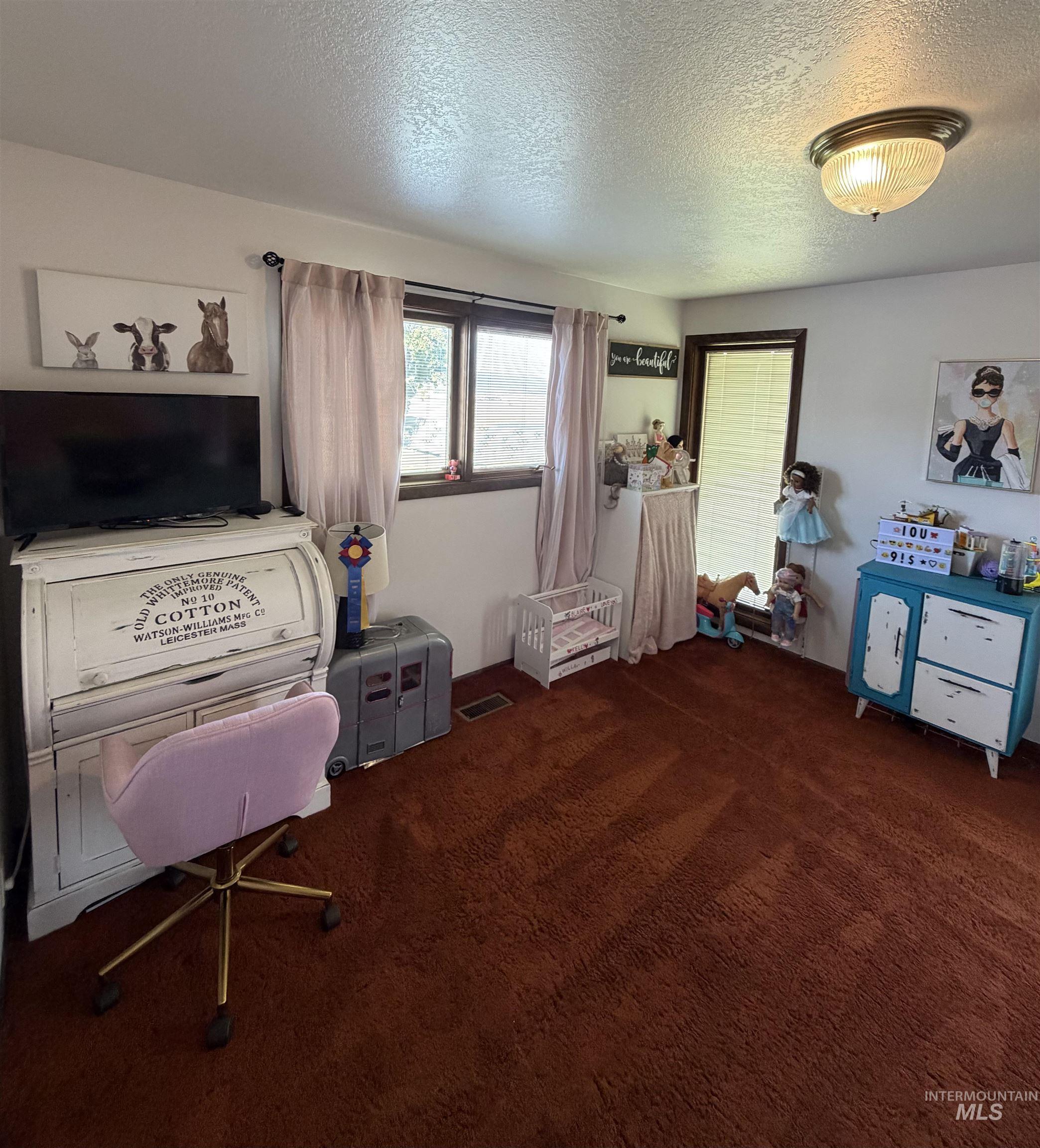 880 Jenkins Creek Road Weiser, ID 83672 - Photo 25 of 43 Carpeted interior space featuring white walls and a ceiling-mounted light fixture