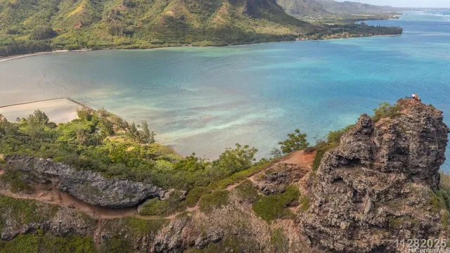 a view of a lake from a yard