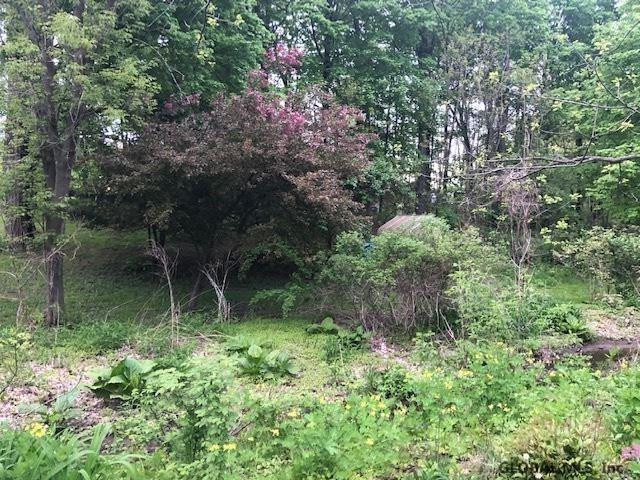 115 Plank Road Troy, NY 12182 - Photo 26 of 68 Photo 26