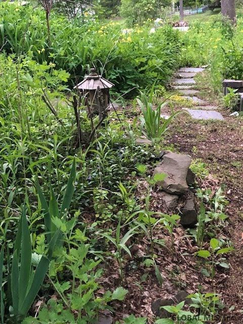 115 Plank Road Troy, NY 12182 - Photo 32 of 68 Photo 32