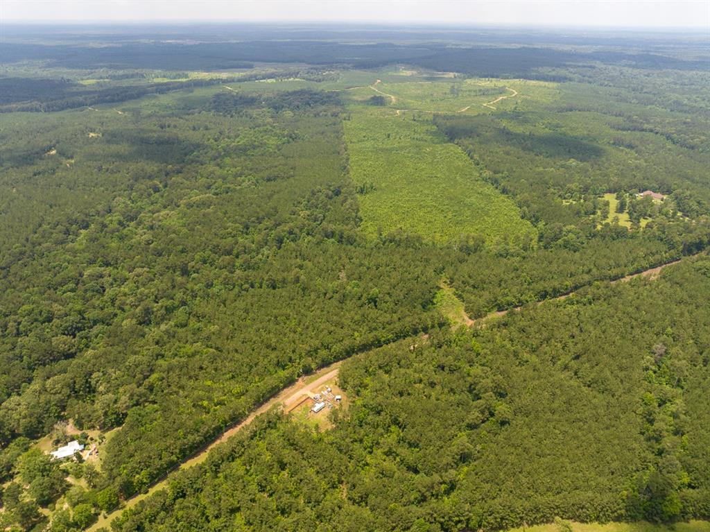 T-2 Blade Loop Jena, LA 71342 - Photo 15 of 17