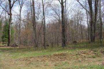 5282 18 Mile Road Barryton, MI 49305 - Photo 3 of 6 Additional Photo
