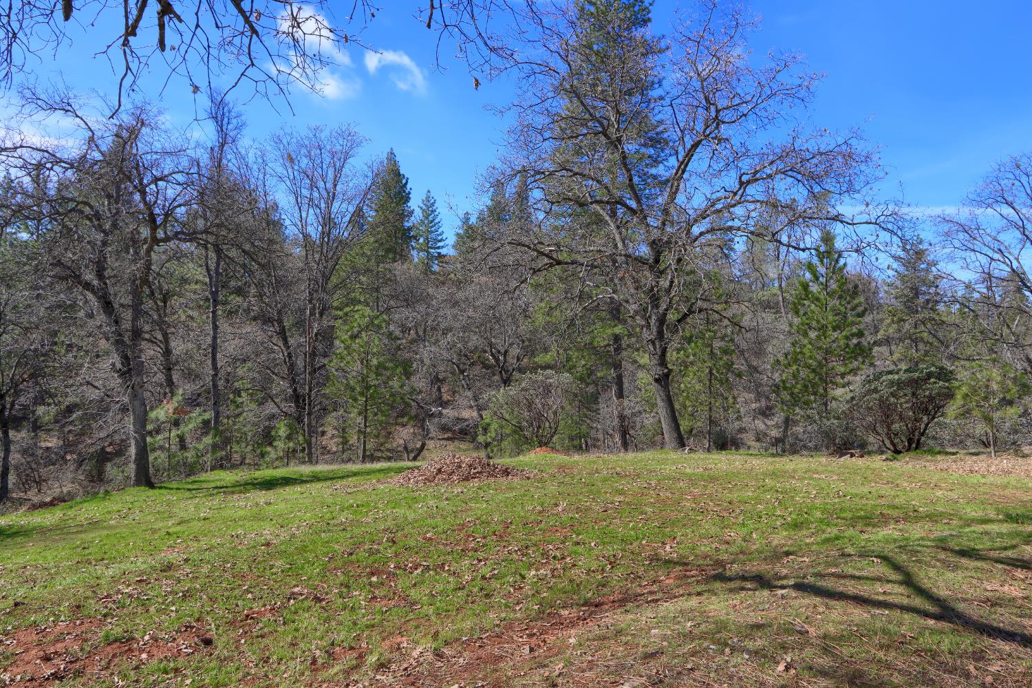 5518 East Whitlock Road Mariposa, CA 95338 - Photo 47 of 57 a view of outdoor space with green field and trees