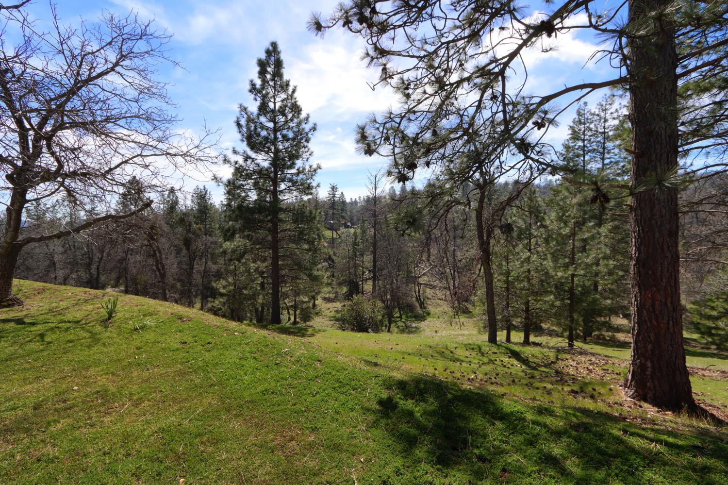 5518 East Whitlock Road Mariposa, CA 95338 - Photo 48 of 57