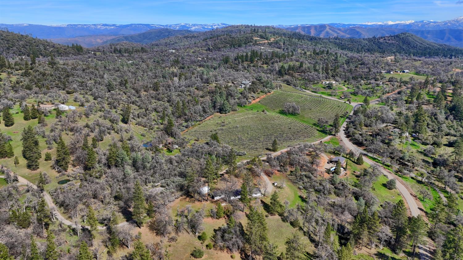 5518 East Whitlock Road Mariposa, CA 95338 - Photo 56 of 57 a view of a lush green hillside and a mountain