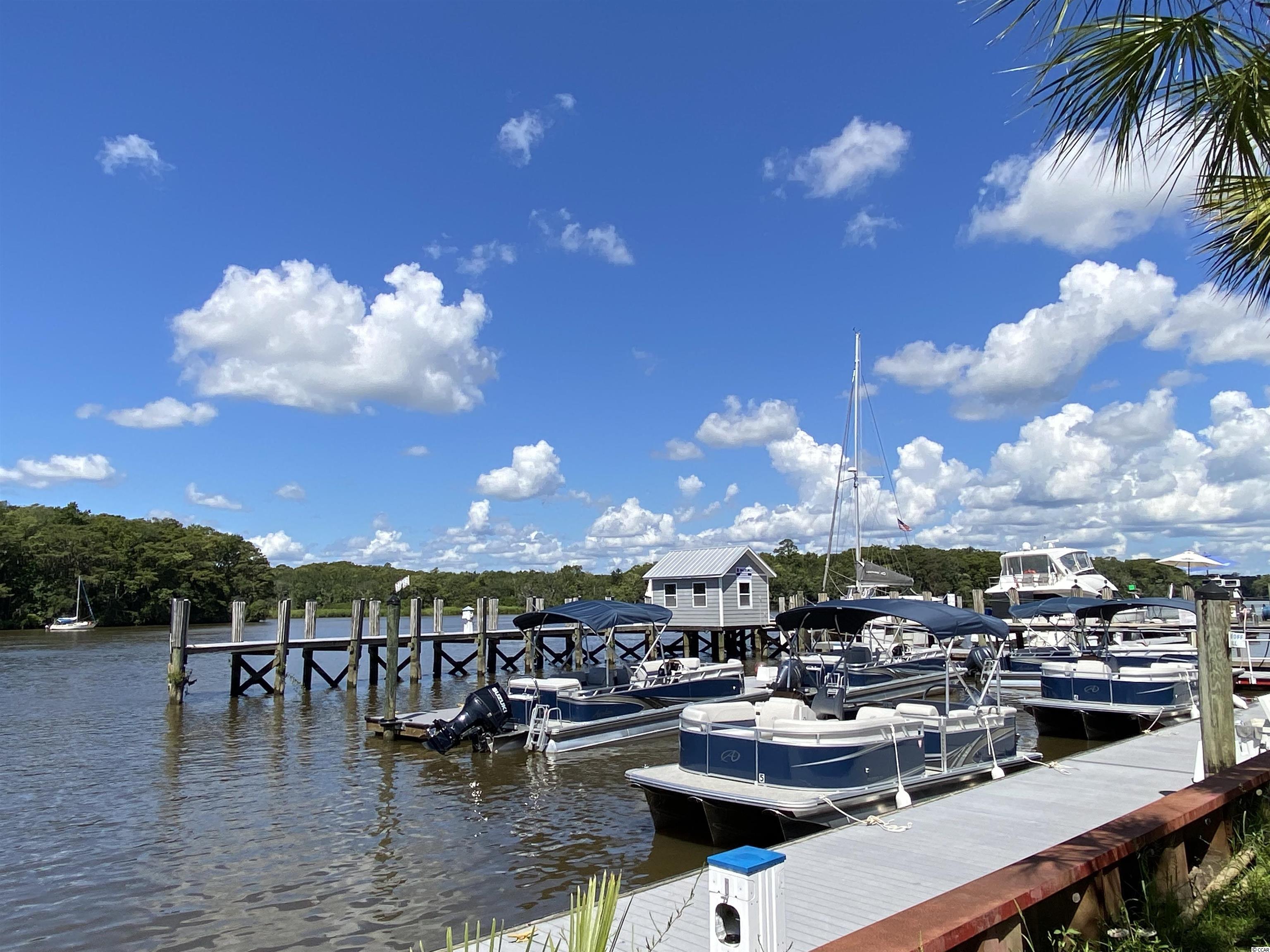 37 Pinnacle Drive Murrells Inlet, SC 29576 - Photo 39 of 40