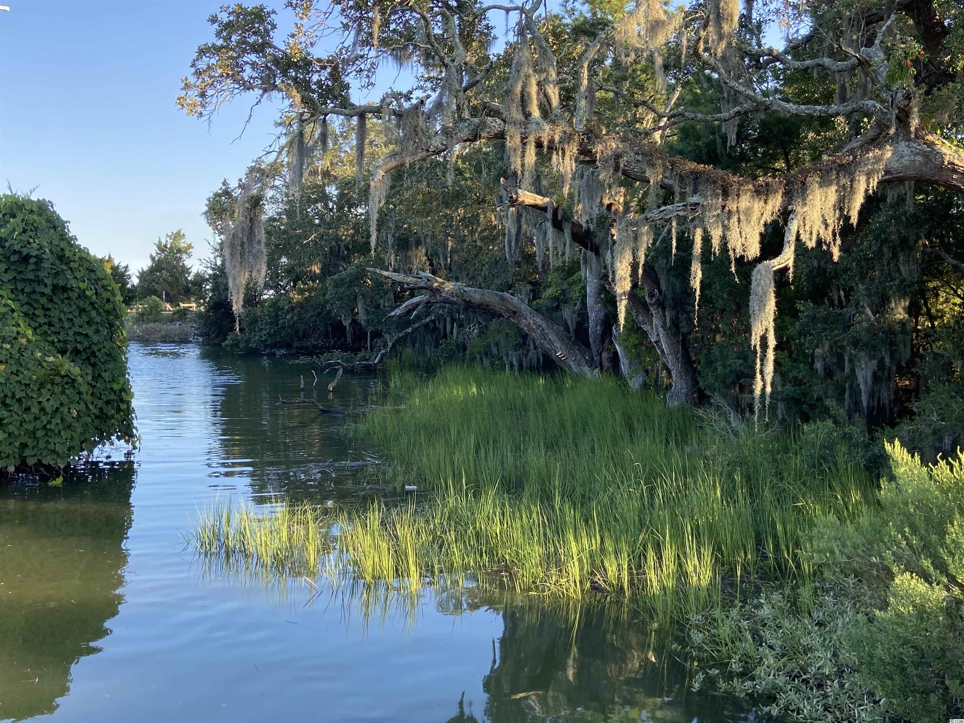 37 Pinnacle Drive Murrells Inlet, SC 29576 - Photo 9 of 40