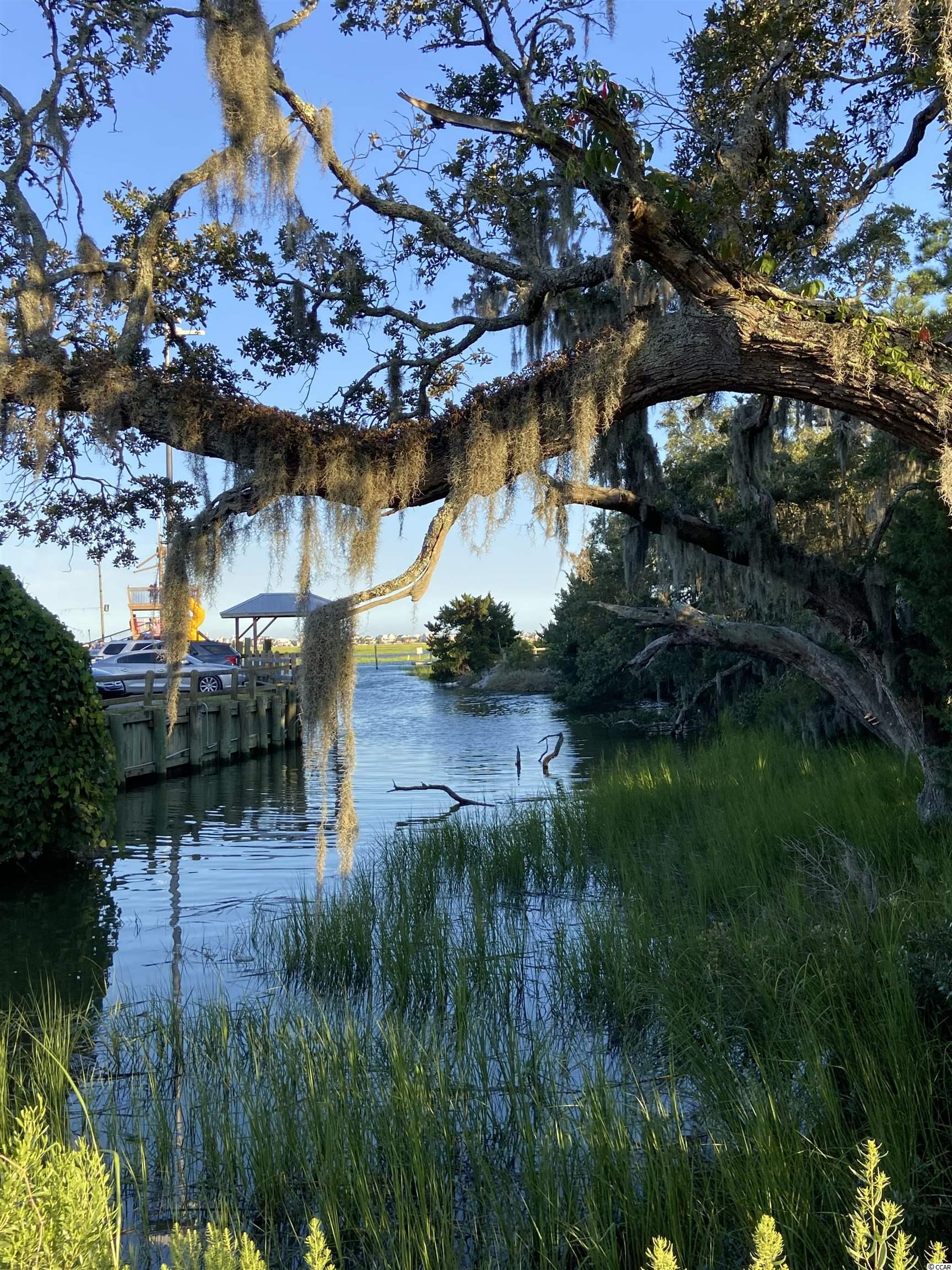 37 Pinnacle Drive Murrells Inlet, SC 29576 - Photo 10 of 40