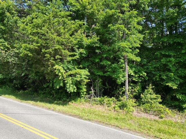 0 Doe Run Road Rocky Mount, VA 24151 - Photo 2 of 4 a view of a garden