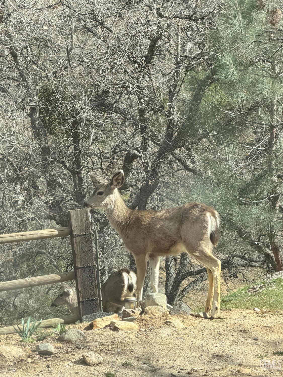 Undisclosed Address Tehachapi, CA 93561 - Photo 5 of 15