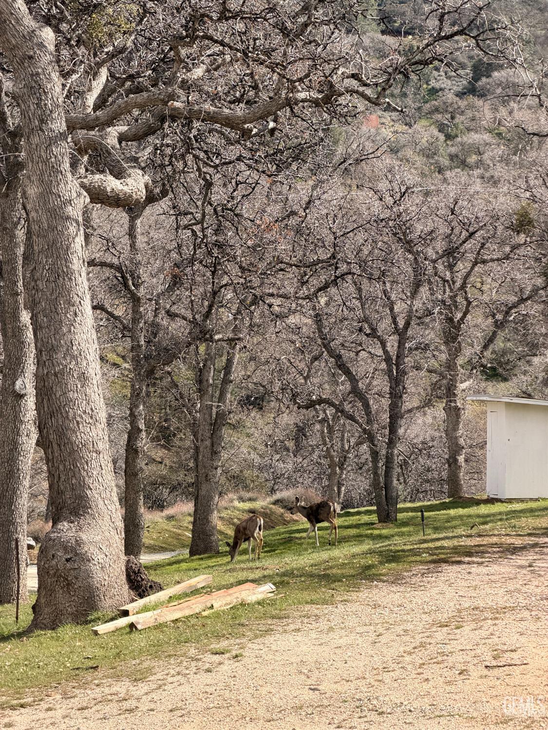 Undisclosed Address Tehachapi, CA 93561 - Photo 6 of 15 a view of a yard with yellow house