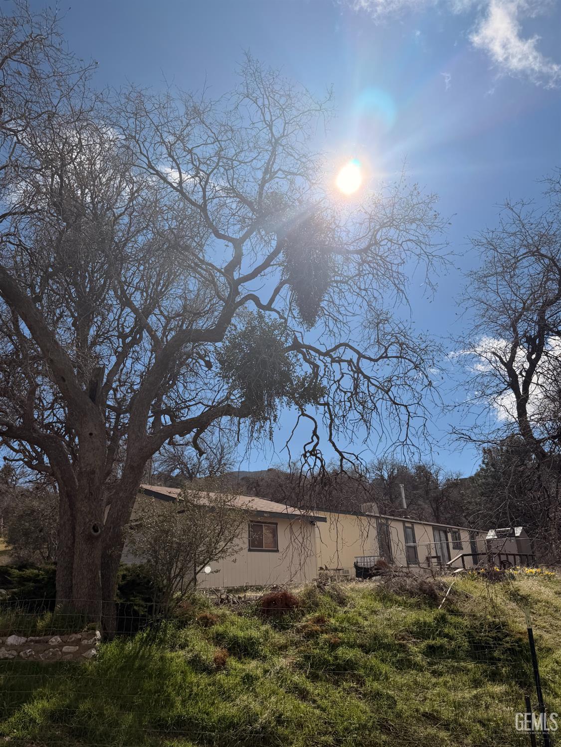 Undisclosed Address Tehachapi, CA 93561 - Photo 9 of 15 a view of a yard with large tree