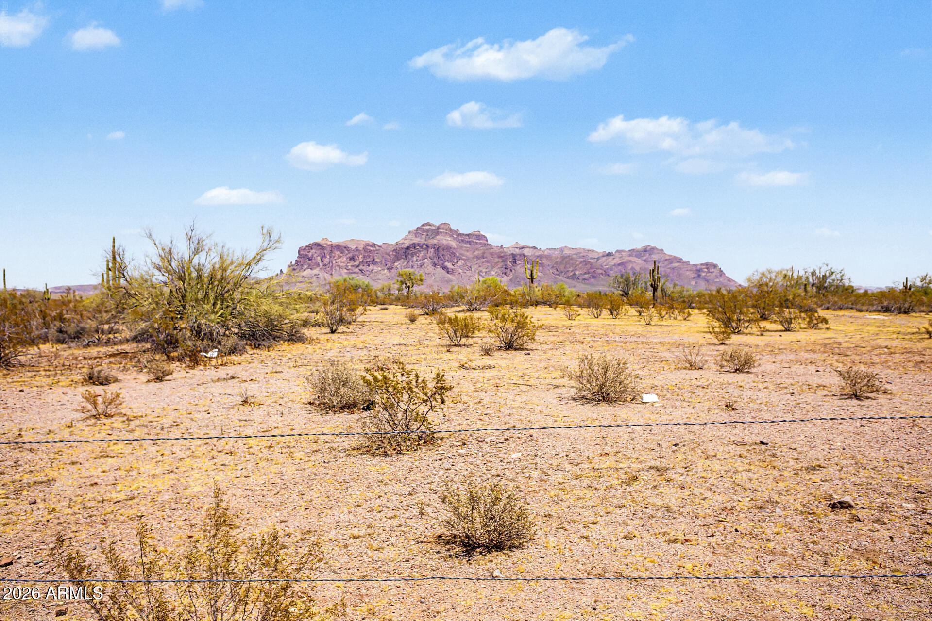 1440 North Idaho Road, Unit 1104 Apache Junction, AZ 85119 - Photo 15 of 19 23 - Idaho