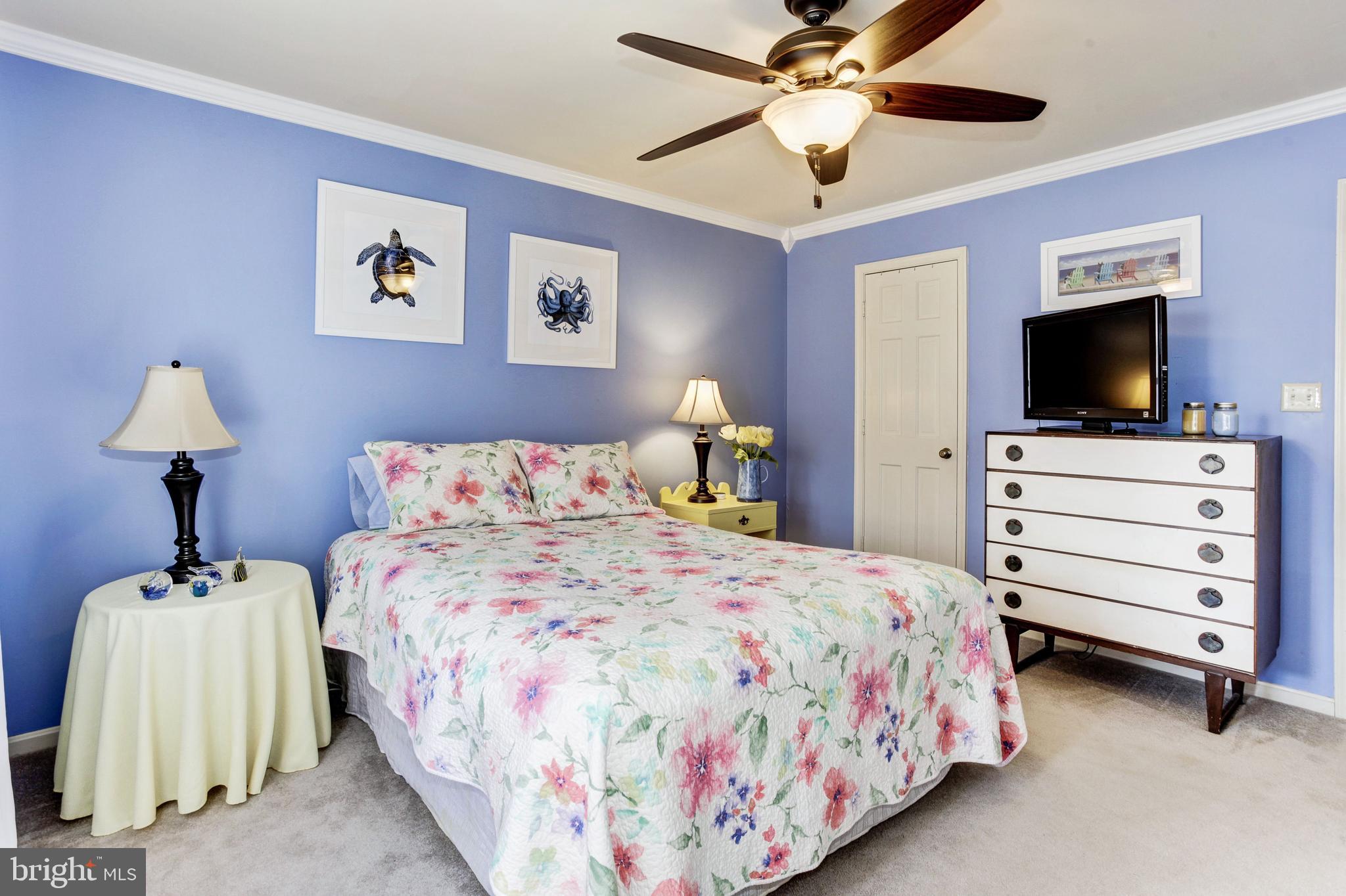 11731 Roosevelt Road Fredericksburg, VA 22407 - Photo 23 of 46