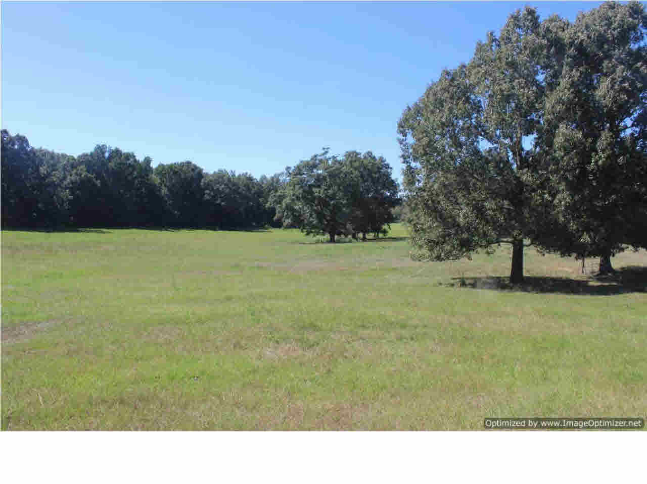 4367 Myers Road Terry, MS 39170 - Photo 3 of 17 Photo 3