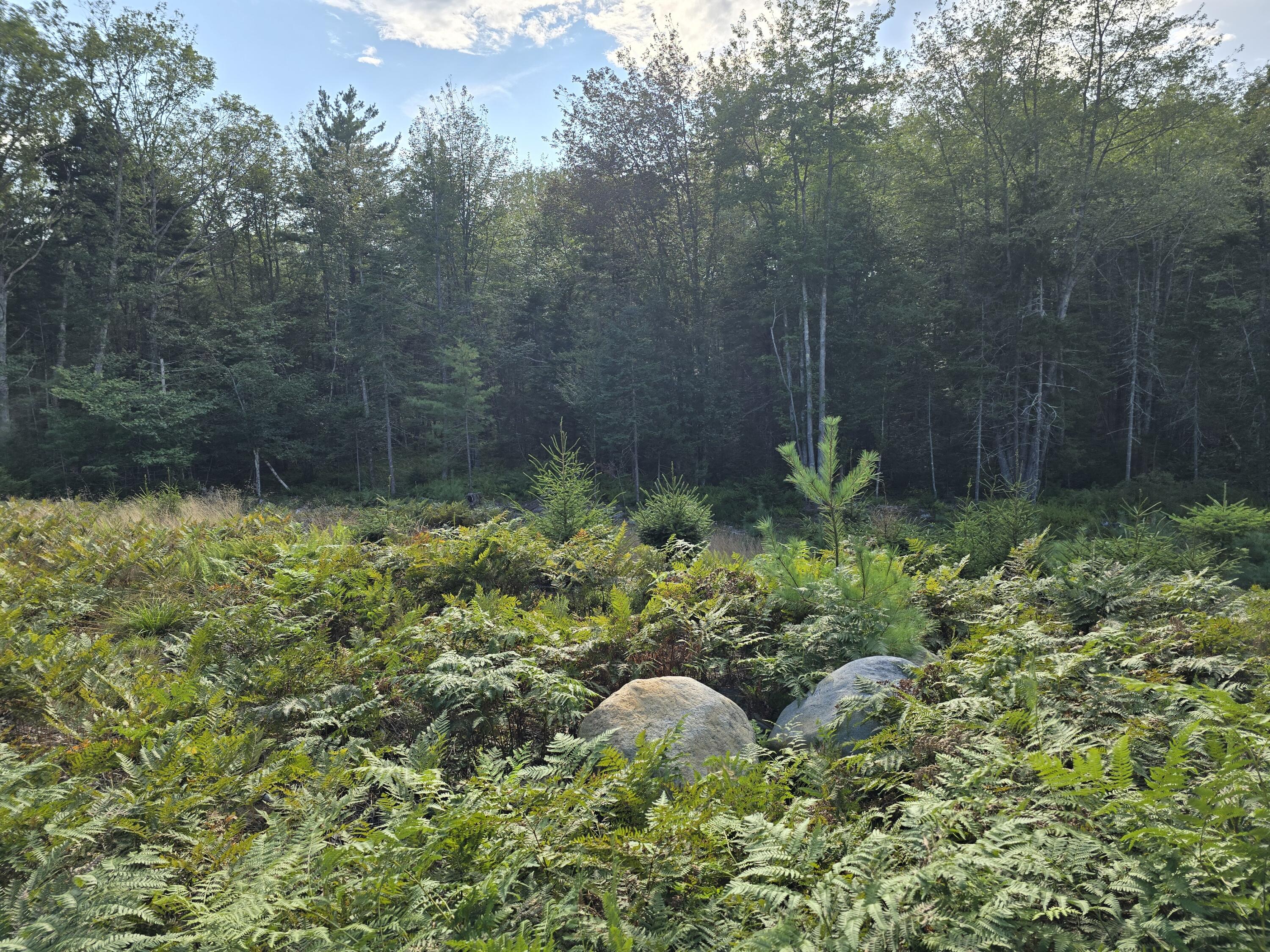 46 Ethel Road Georgetown, ME 04548 - Photo 16 of 34 20240826_163828