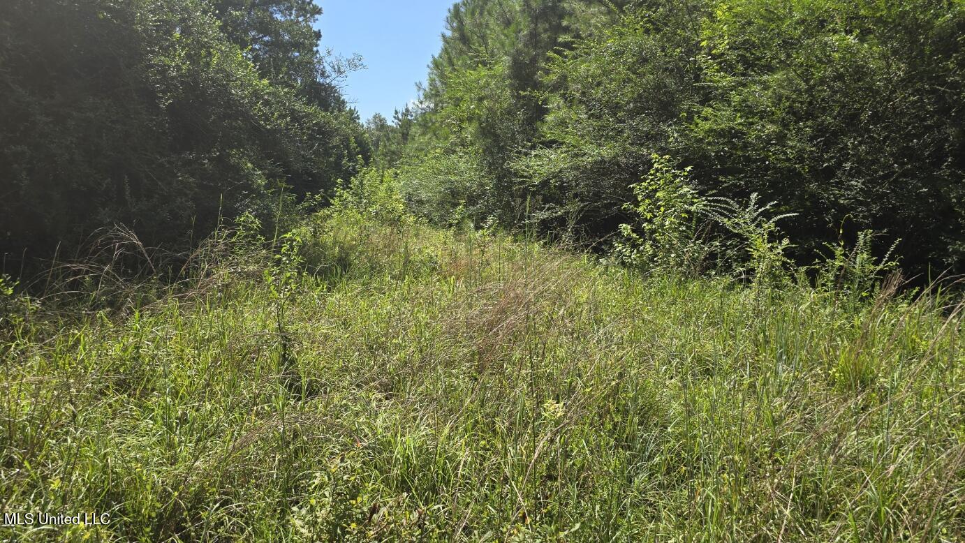 397 West Oakvale Road Mount Olive, MS 39119 - Photo 12 of 31 20250728_105747