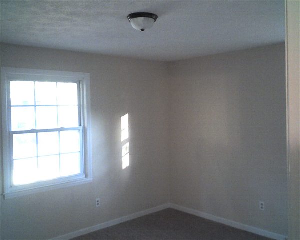 205 Stratford Road Greenville, SC 29605 - Photo 13 of 17 Gallery Image 13