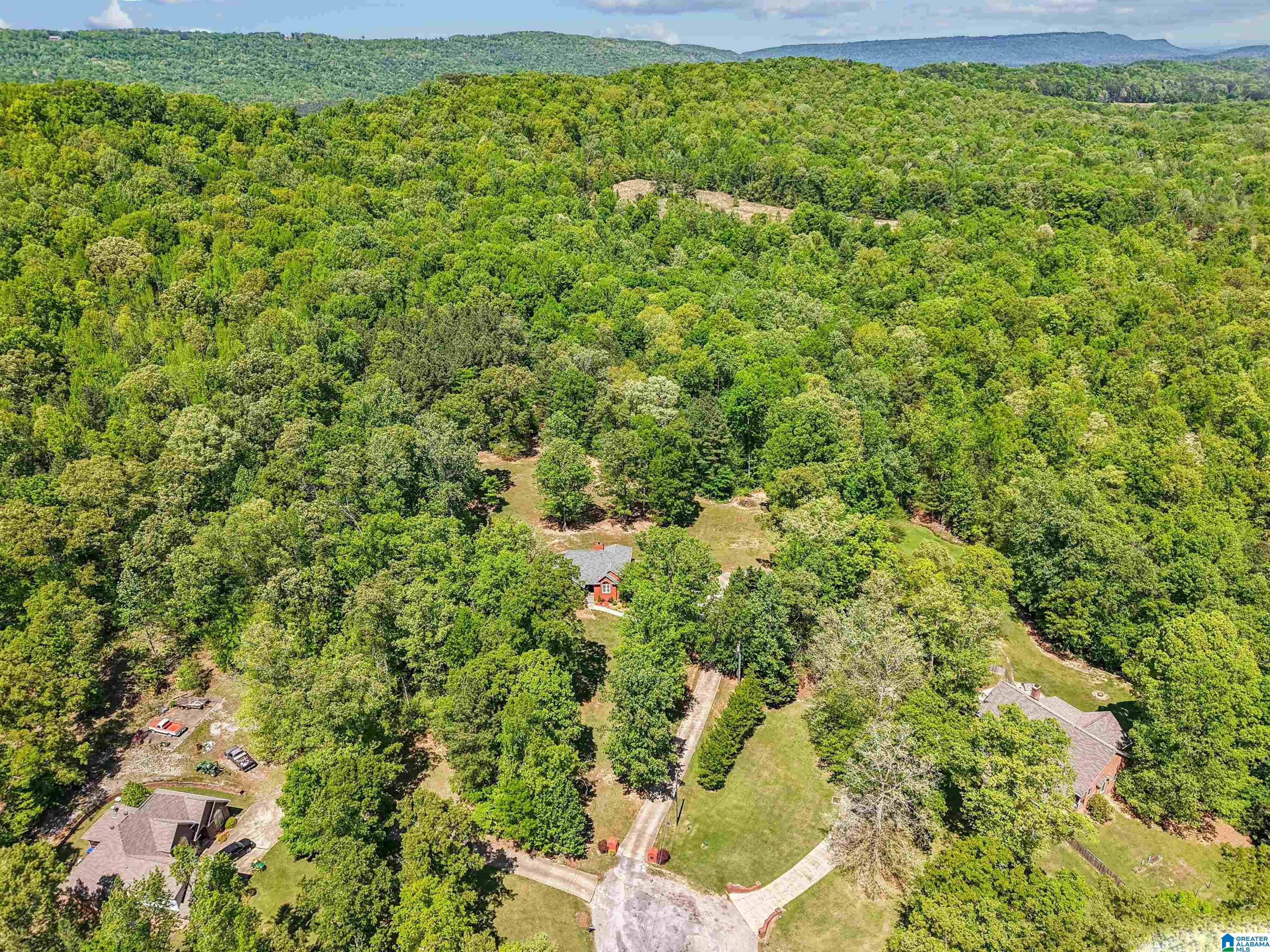 706 Oak Valley Road Springville, AL 35146 - Photo 3 of 55