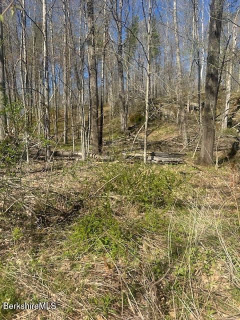 132 Cascade Street Pittsfield, MA 01201 - Photo 2 of 5 Land 2