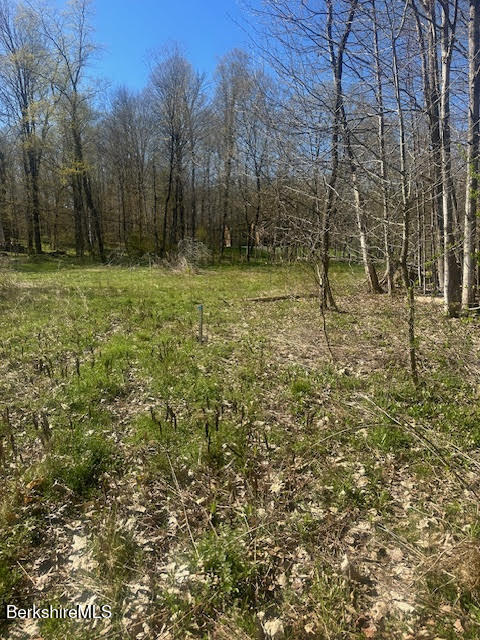 132 Cascade Street Pittsfield, MA 01201 - Photo 3 of 5 Land 3