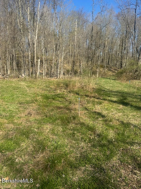 132 Cascade Street Pittsfield, MA 01201 - Photo 4 of 5 Land 4