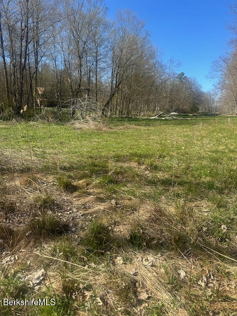 132 Cascade Street Pittsfield, MA 01201 - Photo 5 of 5 Land