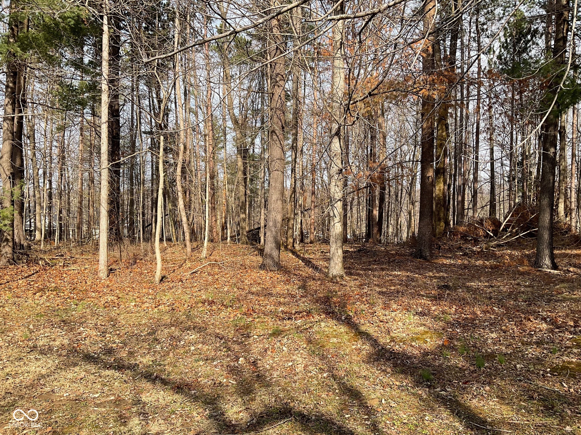 Xxx North Cove Road Rockville, IN 47872 - Photo 1 of 9