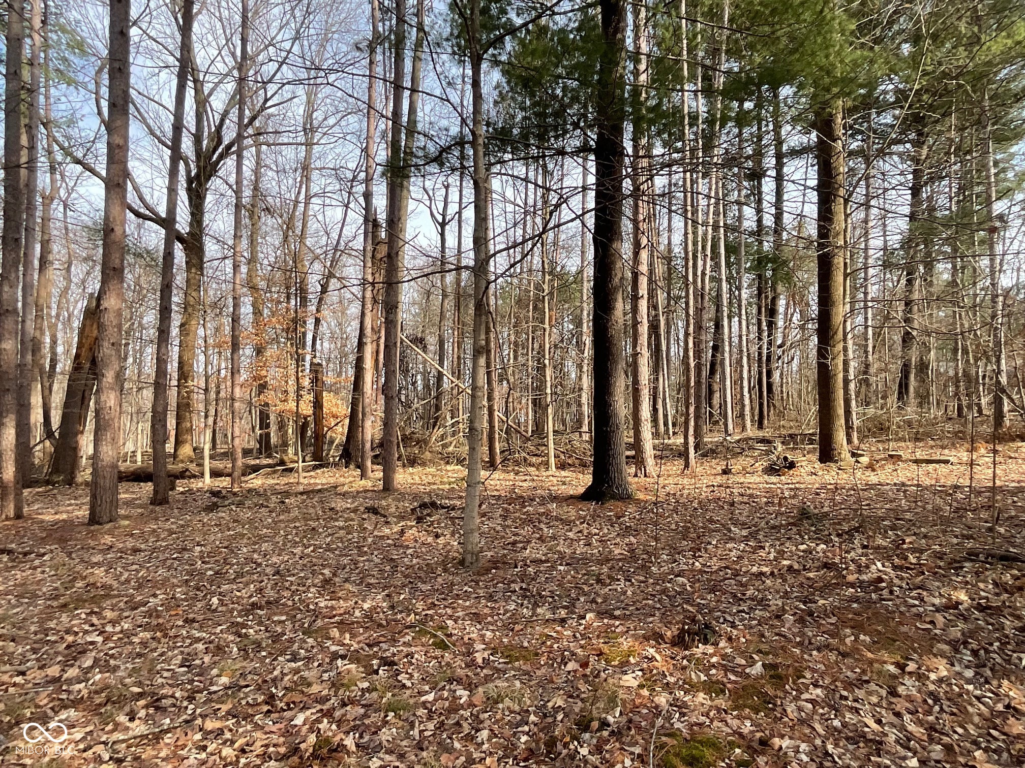 Xxx North Cove Road Rockville, IN 47872 - Photo 5 of 9