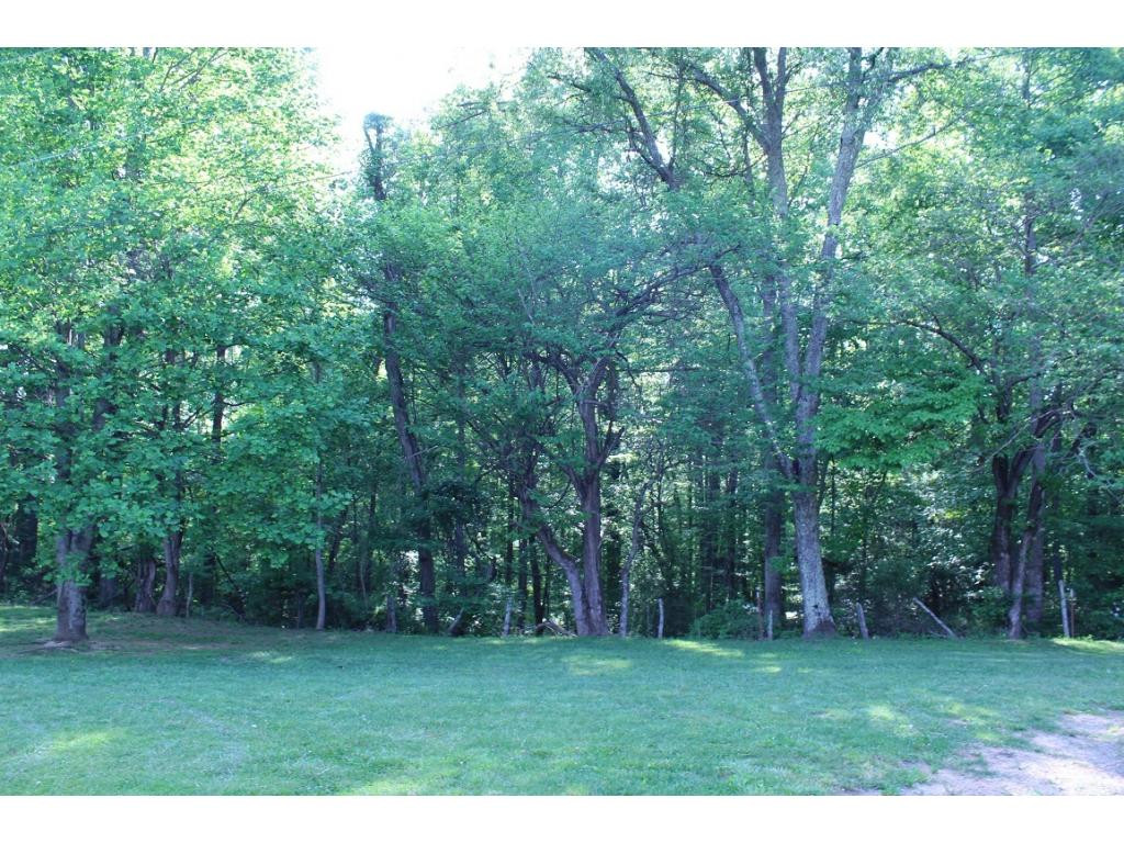 115 Oliver Edwards Road Jonesborough, TN 37659 - Photo 34 of 36 Back Yard