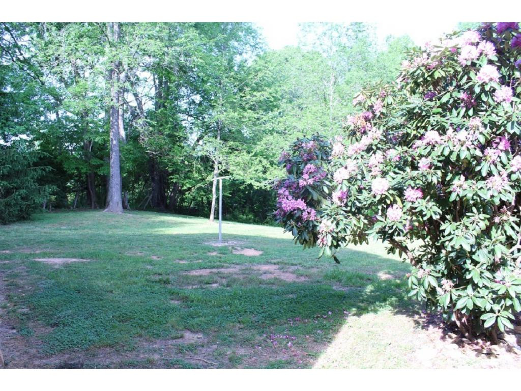 115 Oliver Edwards Road Jonesborough, TN 37659 - Photo 35 of 36 Side Yard