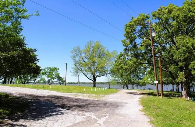 a view of a swimming pool with a yard and palm trees