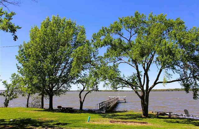 a view of a trees in a yard