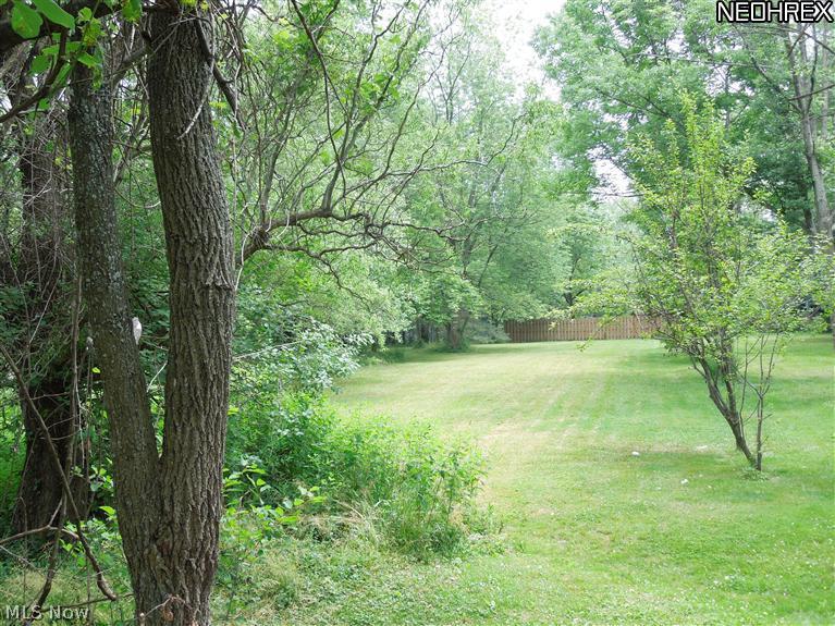 3828 Boston Road Brunswick, OH 44212 - Photo 11 of 16 Back part of the property!