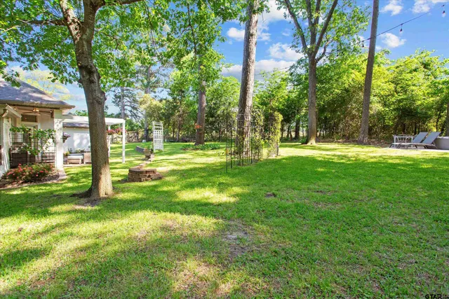 a view of a trees in a yard