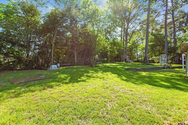 a view of a park with large trees