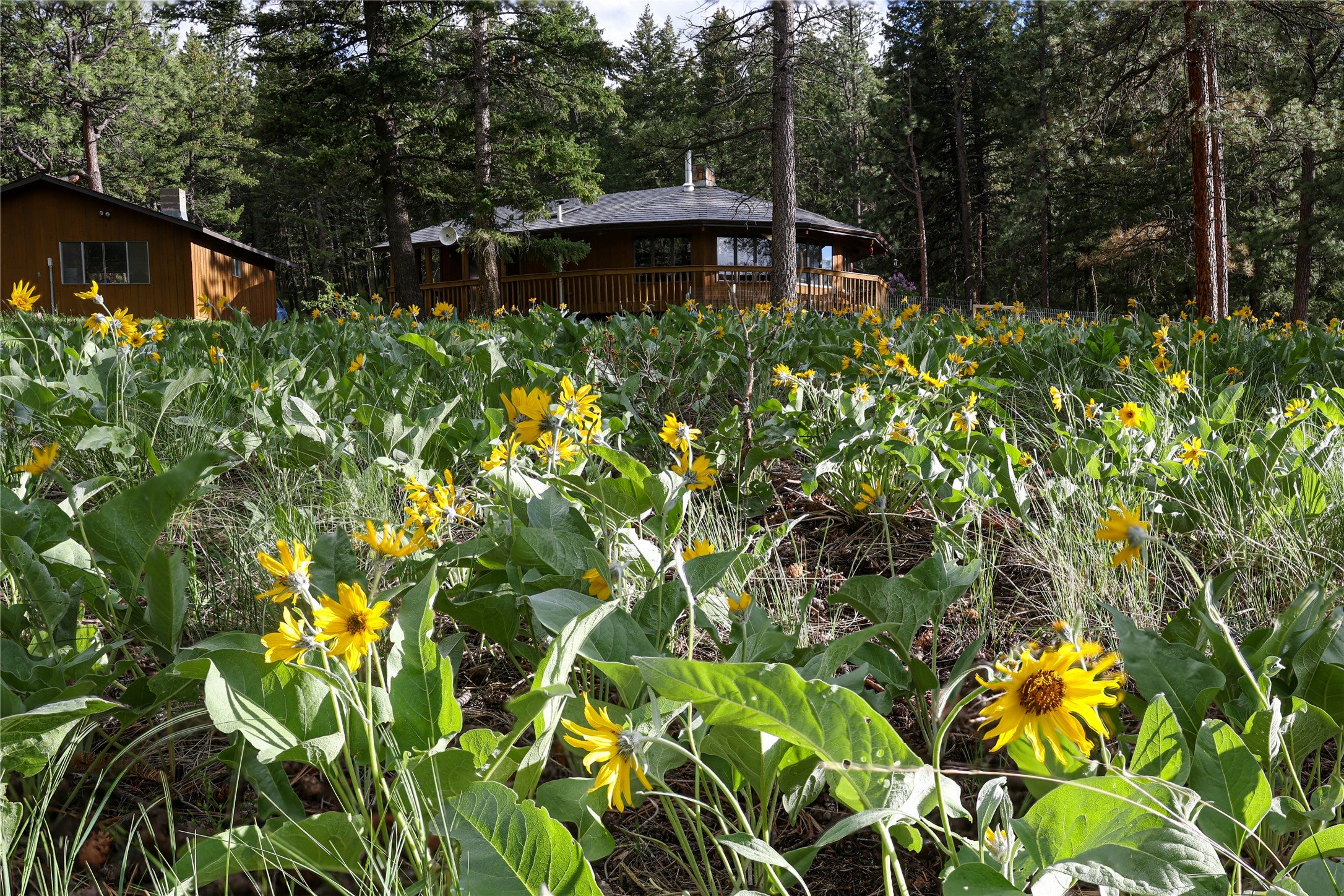 9420 Mormon Creek Road Lolo, MT 59847 - Photo 44 of 69 Gallery Image 44
