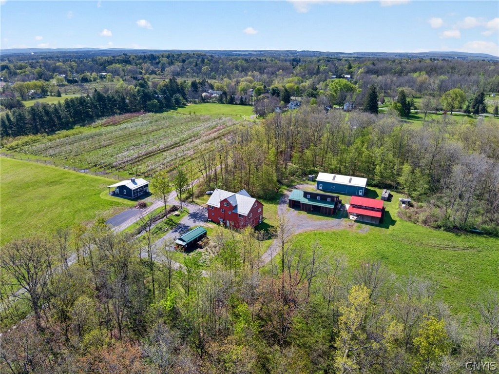 4675 Seneca Road Covert, NY 14886 - Photo 4 of 50